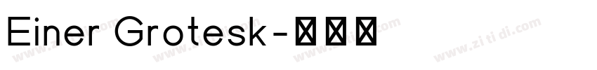 Einer Grotesk字体转换 Einer Grotesk字体转换